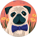 Dipan Thakur profile picture