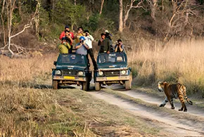 delhi-to-jim-corbett